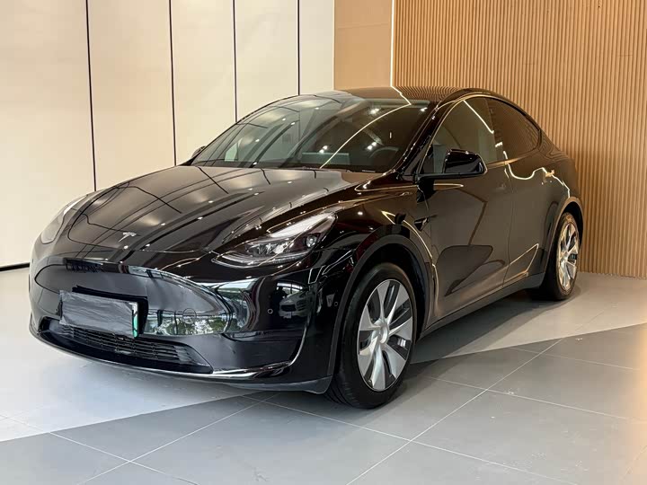 Фото 1 - Tesla Model Y
