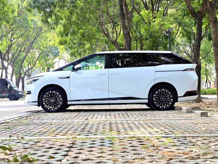 Фото 4 - XPeng X9