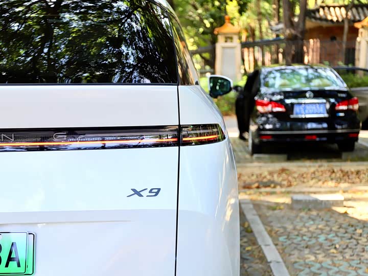 Фото 9 - XPeng X9