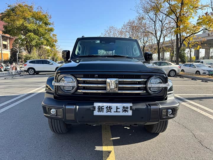 Фото 2 - Tank 300