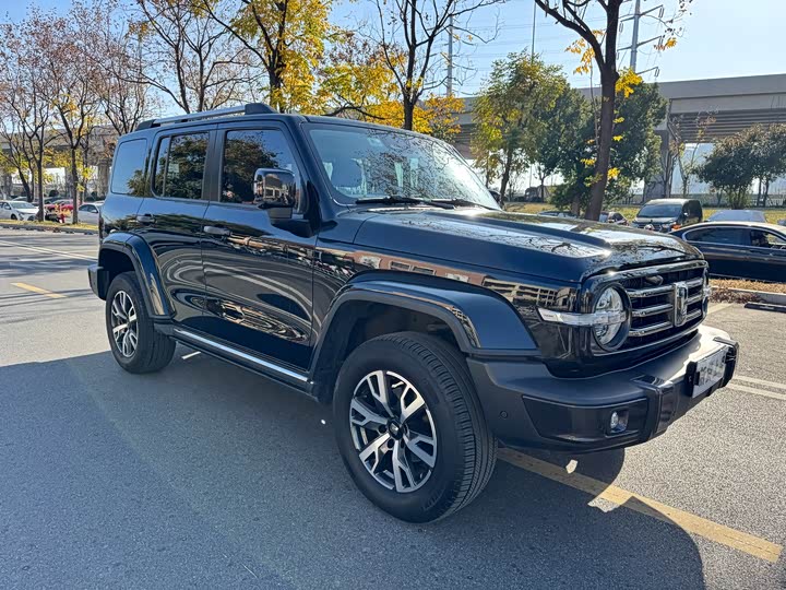 Фото 3 - Tank 300