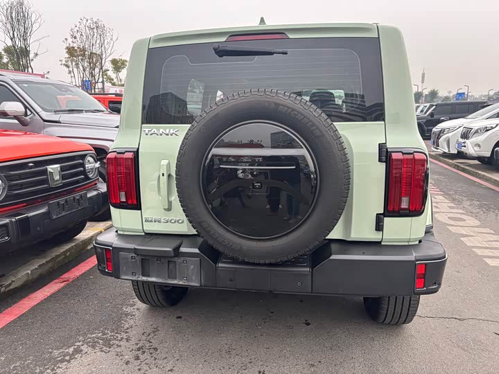 Фото 5 - Tank 300