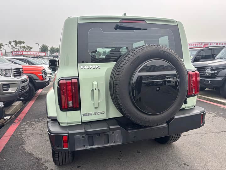 Фото 6 - Tank 300