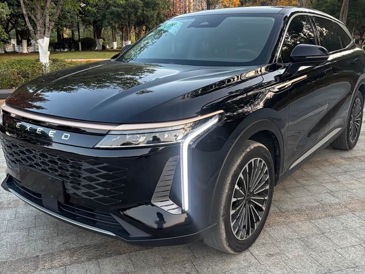 Фото 2 - Exeed RX