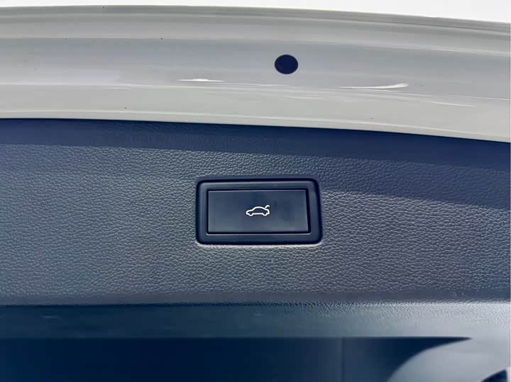 Фото 7 - Volkswagen Tiguan L Pro