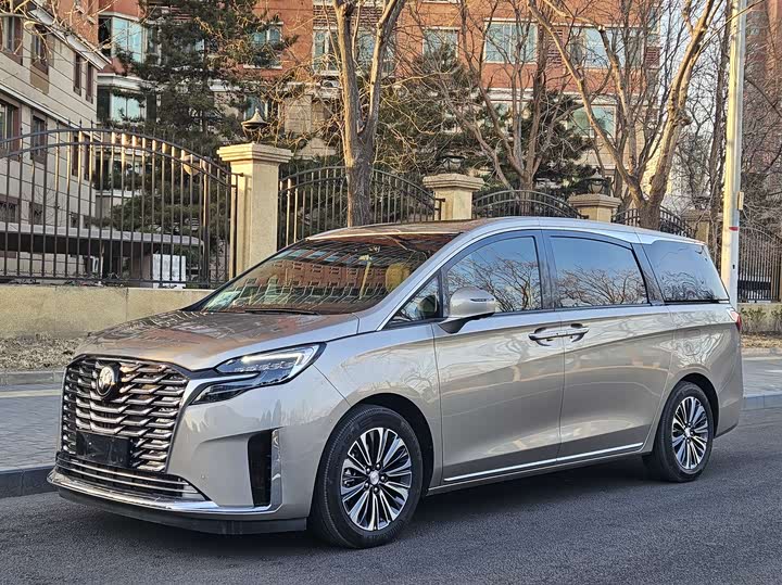 Фото 1 - Buick GL8 ES