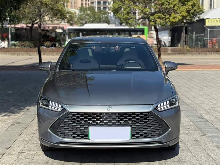 Фото 2 - BYD Qin Plus