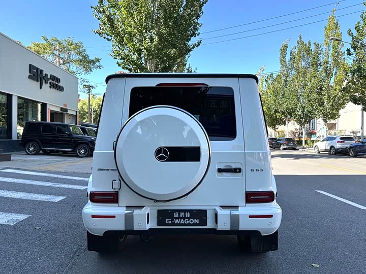 Фото 6 - Mercedes-Benz G-Class AMG