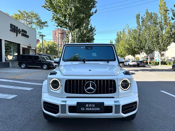 Фото 7 - Mercedes-Benz G-Class AMG