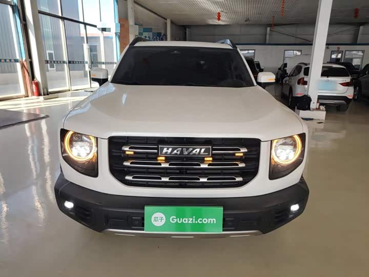 Фото 3 - Haval Dargo