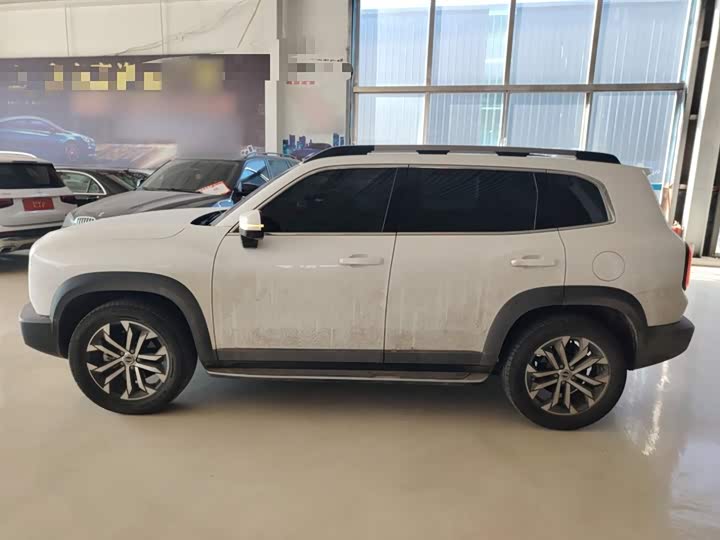 Фото 5 - Haval Dargo