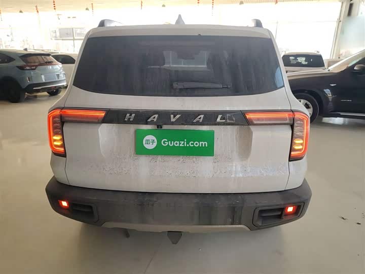 Фото 6 - Haval Dargo