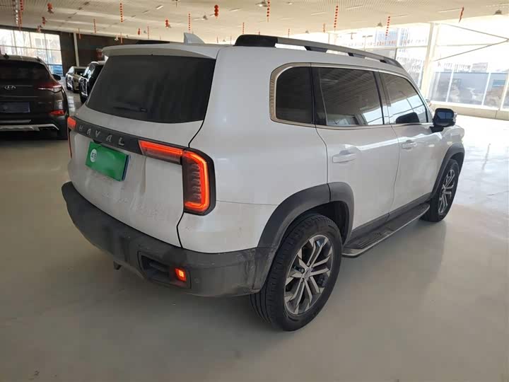 Фото 7 - Haval Dargo