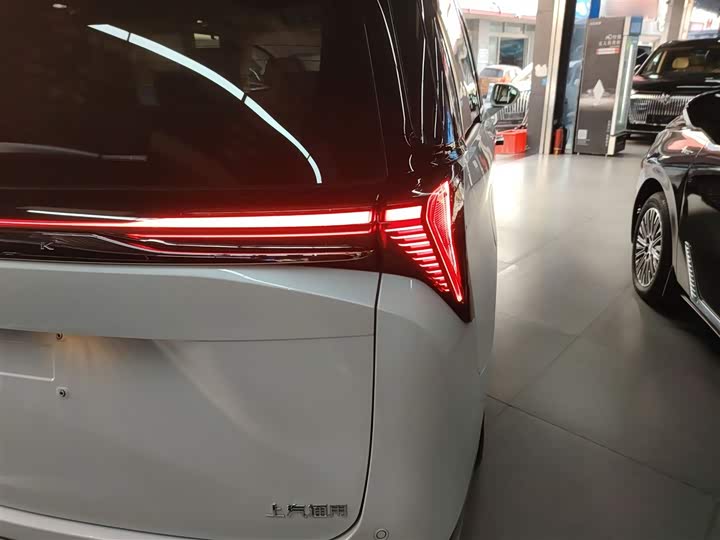 Фото 8 - Buick GL8 Hybrid