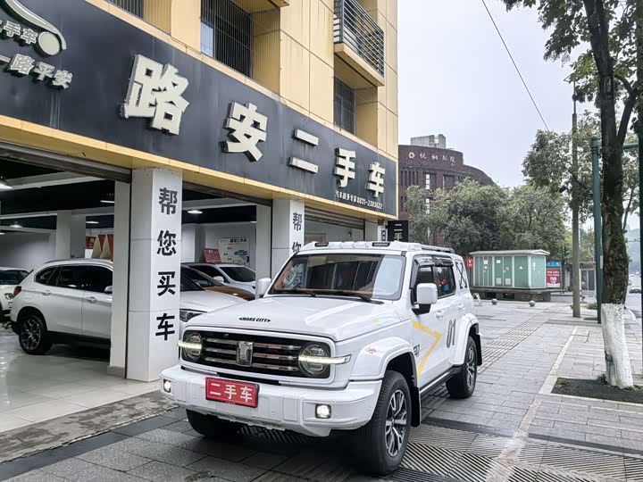 Фото 1 - Tank 300