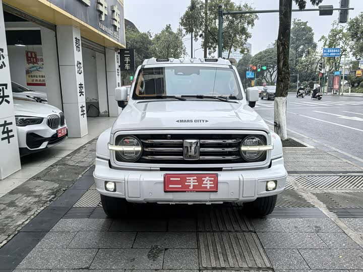 Фото 2 - Tank 300