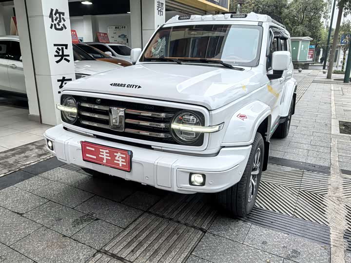 Фото 4 - Tank 300