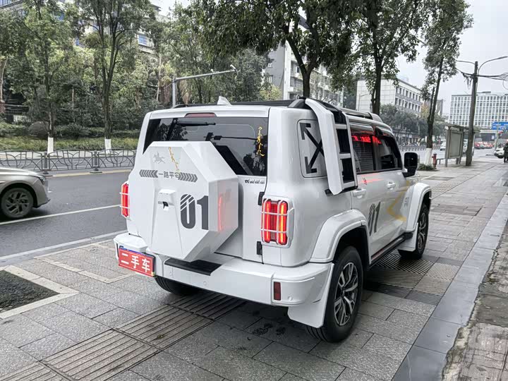 Фото 8 - Tank 300