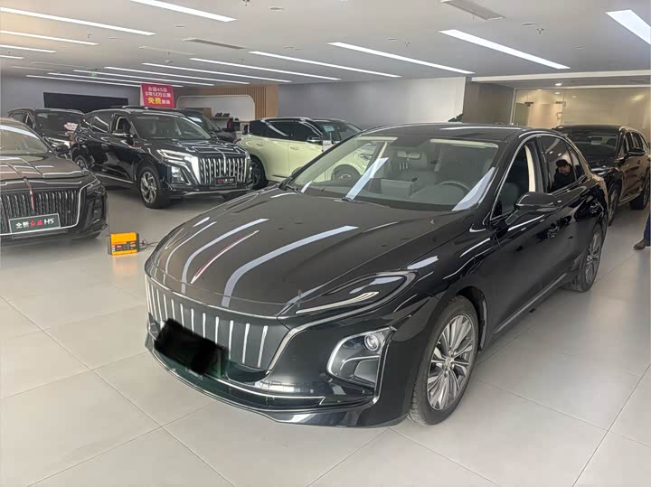 Фото 1 - Hongqi E-QM5