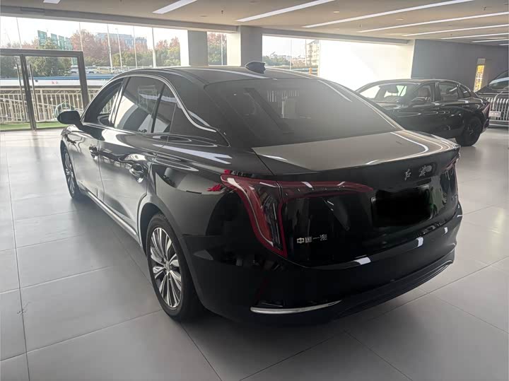 Фото 4 - Hongqi E-QM5
