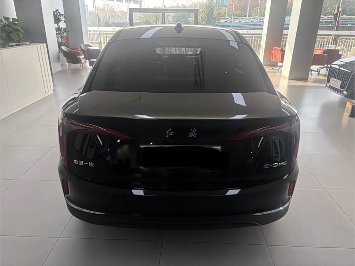 Фото 5 - Hongqi E-QM5