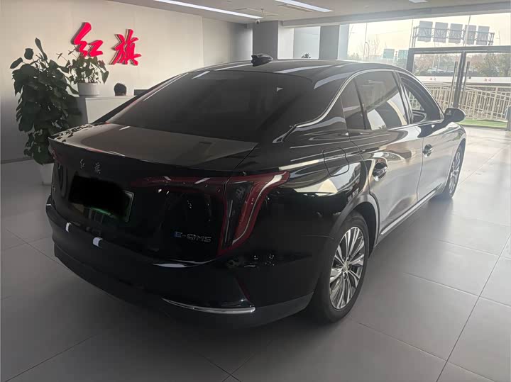 Фото 7 - Hongqi E-QM5