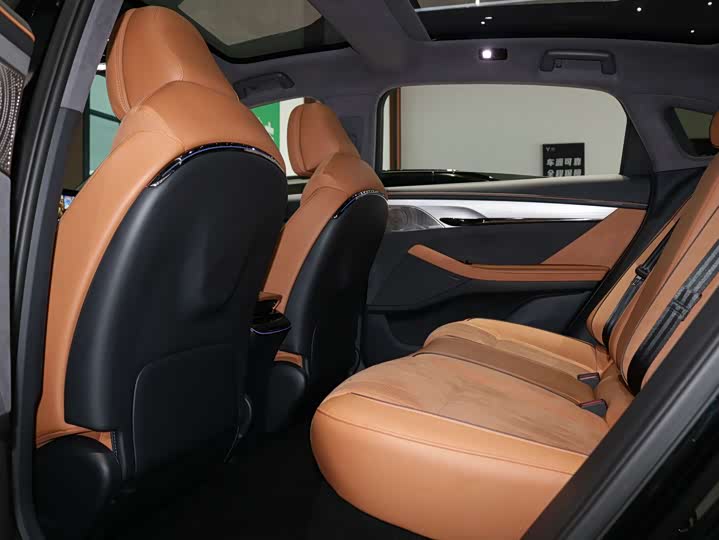 Фото 5 - Voyah Passion