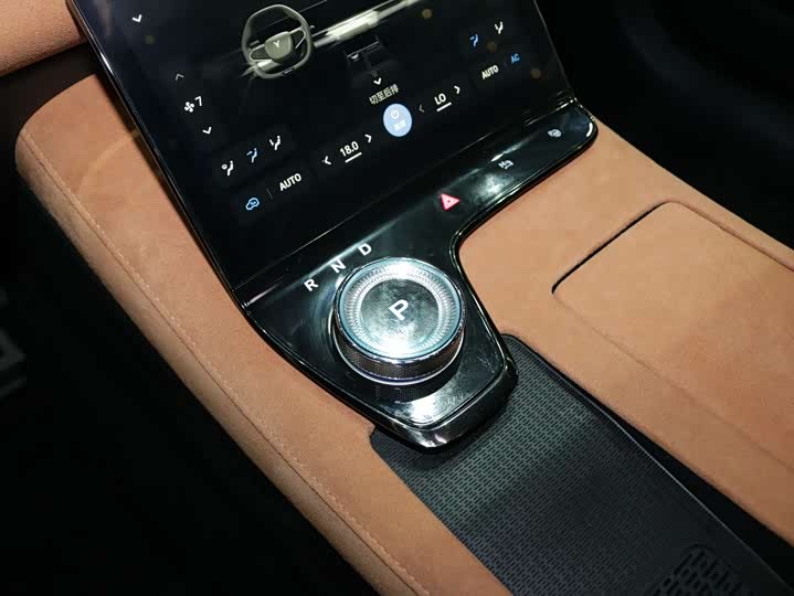 Фото 8 - Voyah Passion