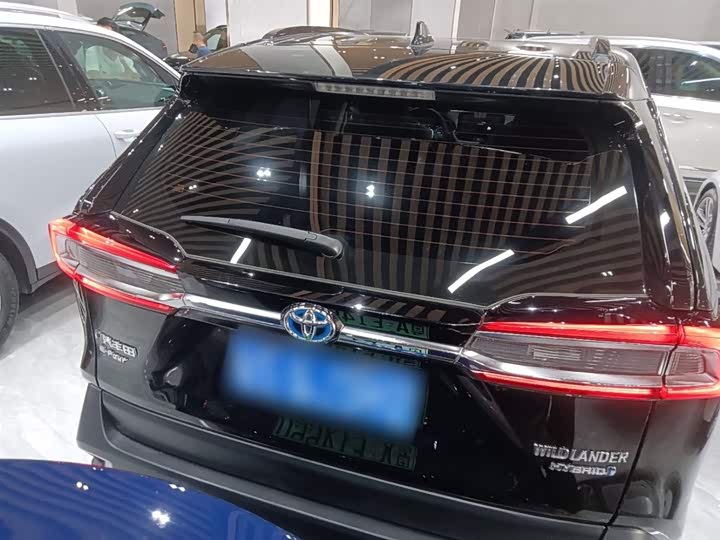Фото 6 - Toyota Wildlander