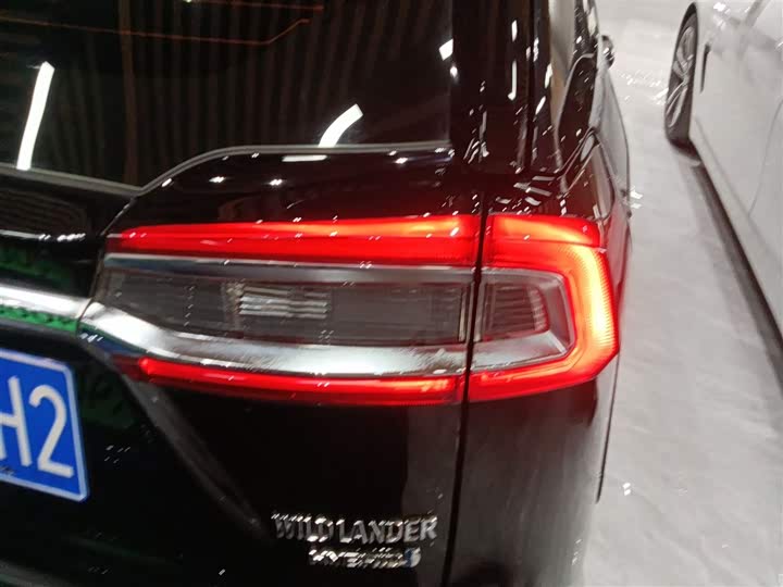 Фото 8 - Toyota Wildlander