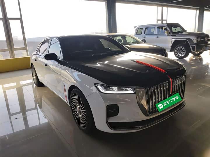 Фото 4 - Hongqi H9