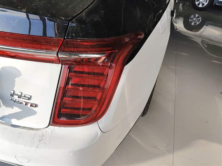 Фото 8 - Hongqi H9