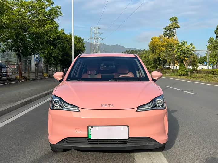 Фото 2 - Hozon V