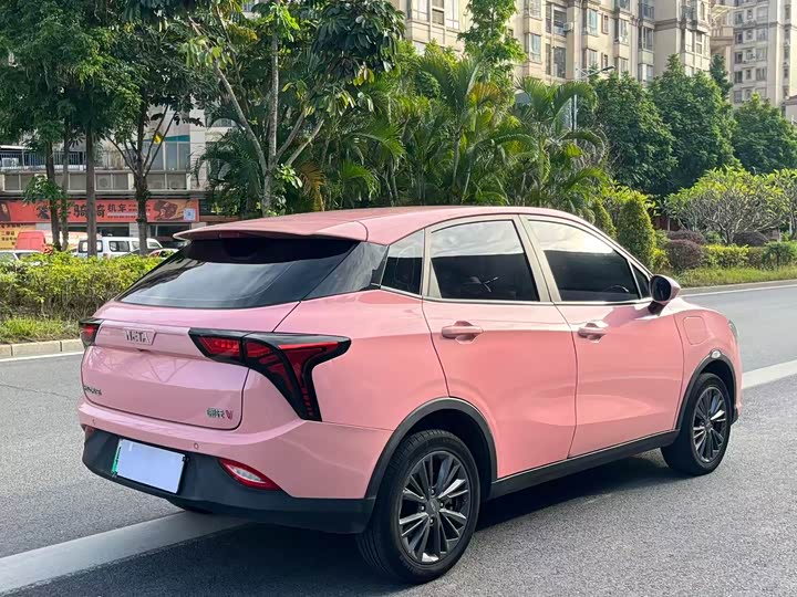 Фото 4 - Hozon V