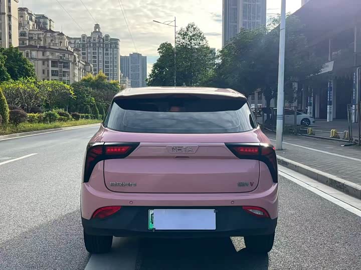 Фото 5 - Hozon V