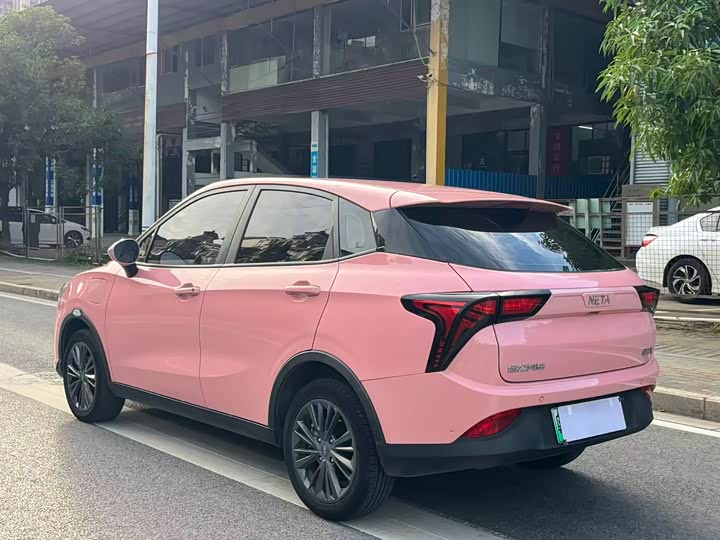 Фото 6 - Hozon V