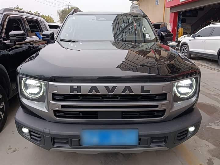 Фото 3 - Haval Dargo