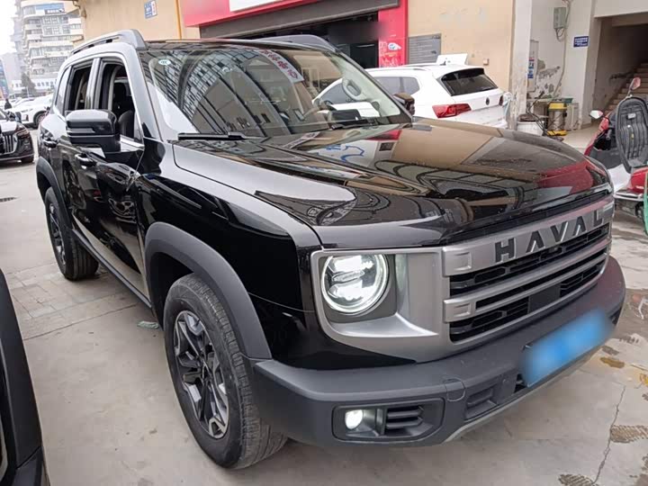 Фото 4 - Haval Dargo