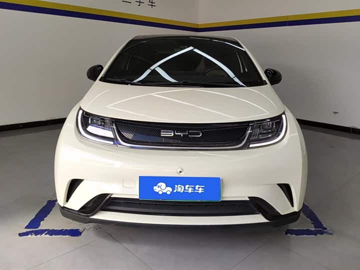 Фото 2 - BYD Dolphin