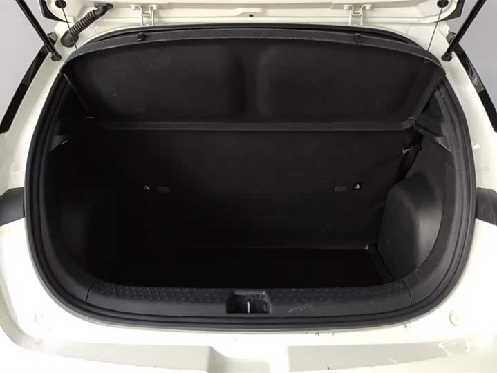 Фото 4 - BYD Dolphin