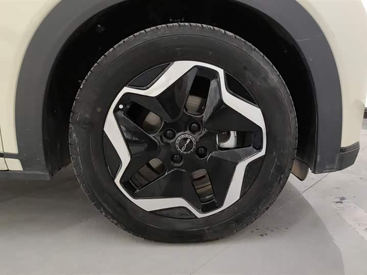 Фото 6 - BYD Dolphin