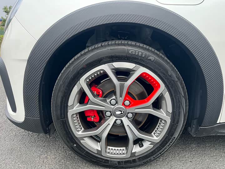 Фото 3 - Ora Good Cat GT (03 GT)