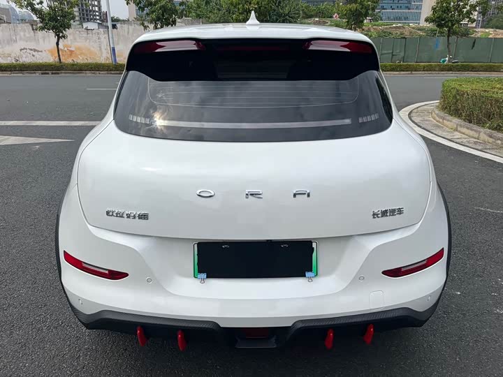 Фото 6 - Ora Good Cat GT (03 GT)