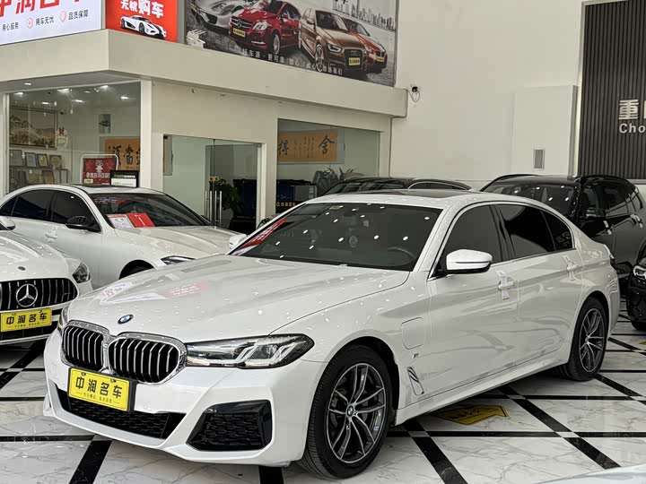 Фото 1 - BMW 5 Series Hybrid