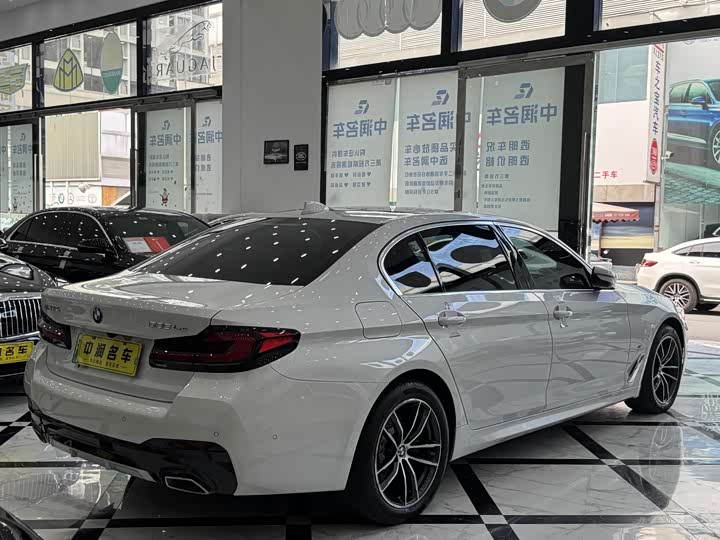 Фото 4 - BMW 5 Series Hybrid