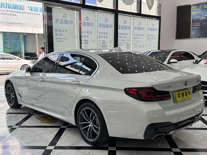 Фото 5 - BMW 5 Series Hybrid