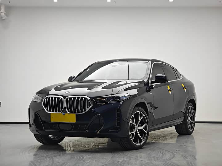 Фото 1 - BMW X6