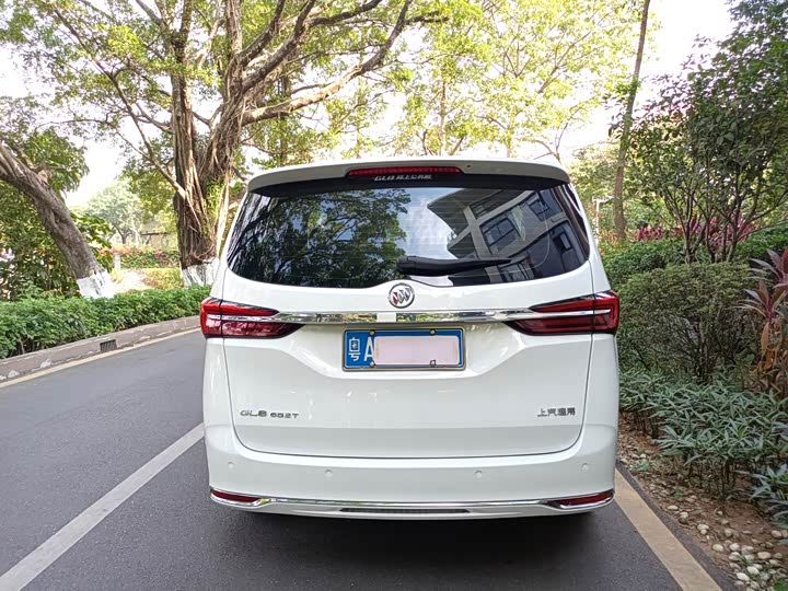 Фото 5 - Buick GL8 ES