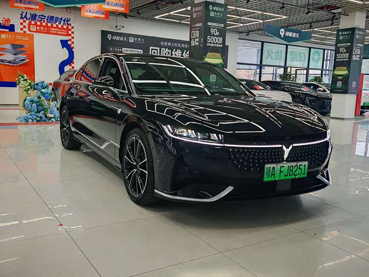 Фото 3 - Voyah Passion