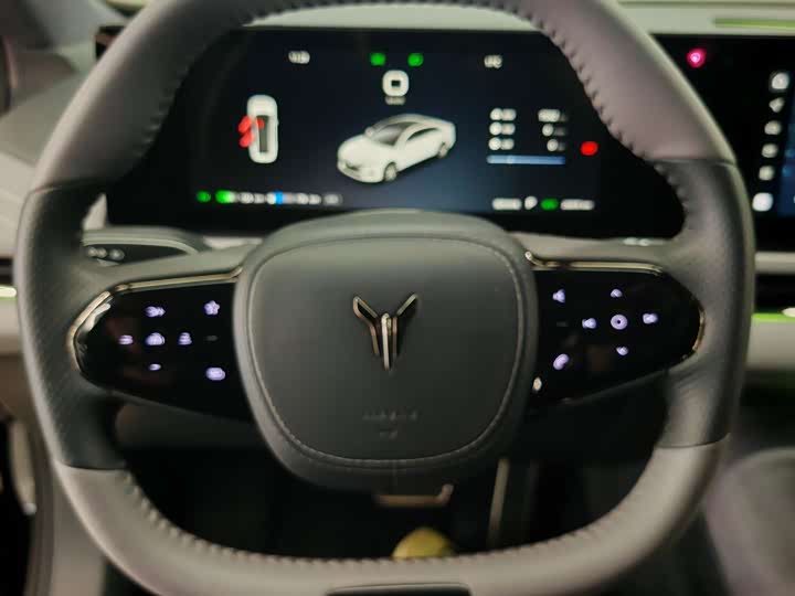 Фото 8 - Voyah Passion